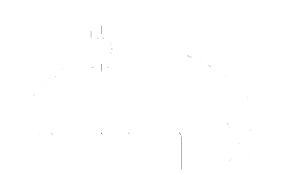 Logo for nmHix, A client of The Digital Opportunists